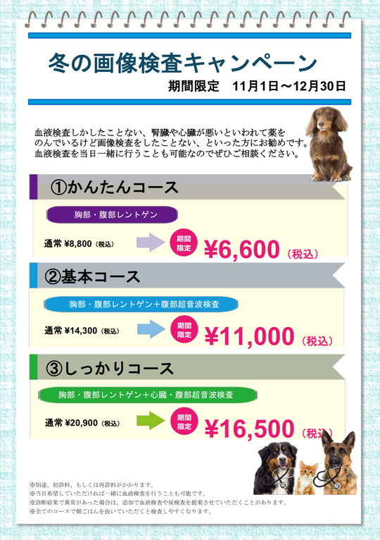 鈴木 礼子（れいちゃん）17時まで | 茨城県古河市の美容室