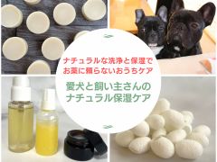 小田原から近いおすすめソープ＆本番が出来る風俗店を口コミから徹底調査！ - 風俗の友