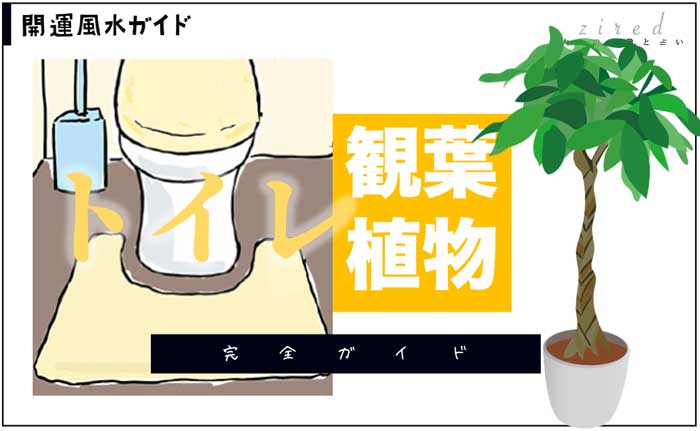 飾り方で見違える＊爽やかトイレを演出する『観葉植物』の選び方キナリノ