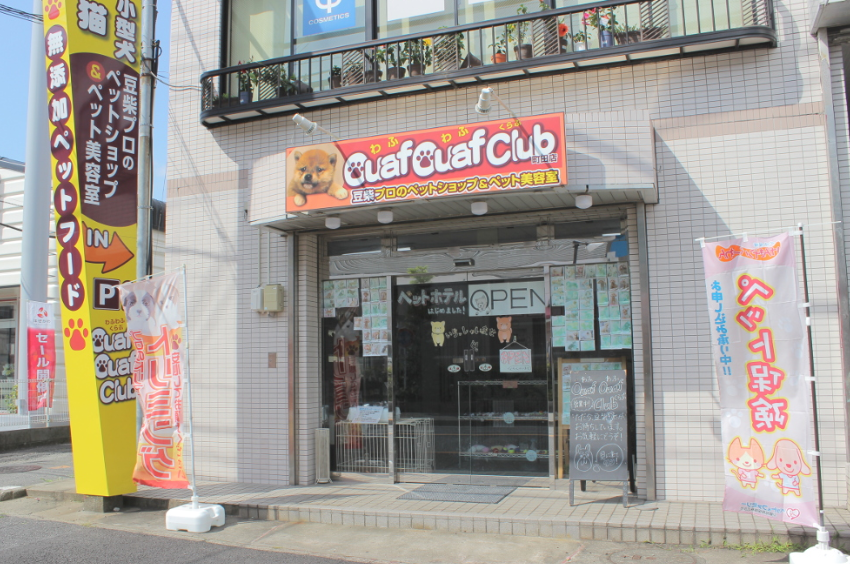 町田市 トリミング・ペットサロン 格安、口コミでおすすめのお店を紹介 - マチダクリップ