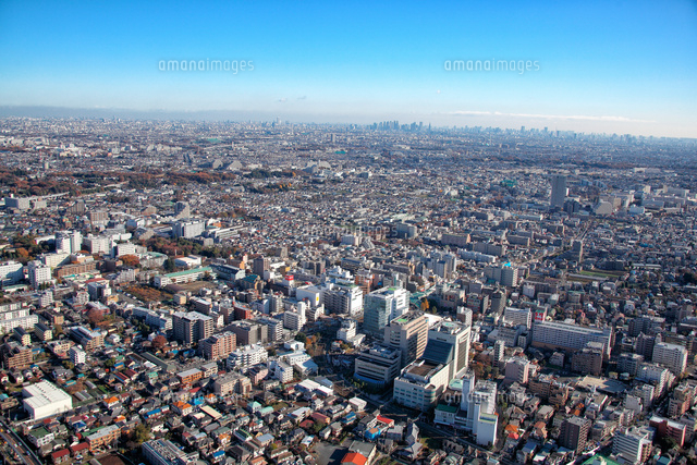 いつまで遊べるの？定番のタコ公園 ～調布駅周辺～ |