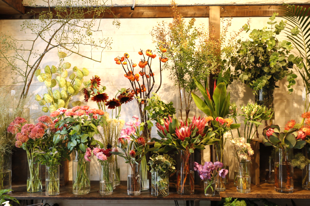 Bikaku Mafia 博多店 Grand Open！ , ついに10 4博多にビカクマフィアの新店舗が完成します！,店内のベースができあがり、あとはたくさんのビカクで彩るだけ。, オープンに向けて、世界中から集めた親株・子株を準備中です。,オープン当日は、各店長も博多に集合！, ドリンクや軽食を楽しみながら語り合えるオープニングパーティも開催します🎉, ・2025年10月4日 土 ,