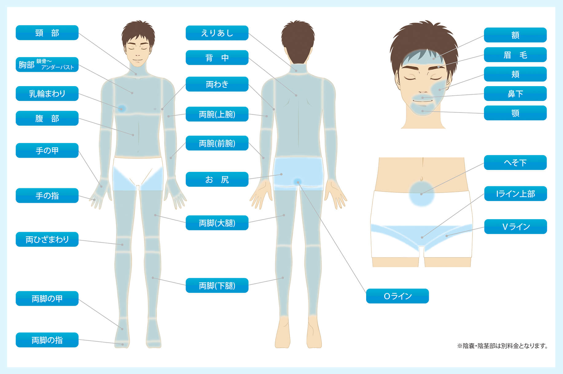 メンズ脱毛は恥ずかしい」は時代遅れ！男性のVIO脱毛も今や当たり前 | メンズ脱毛百科事典 リンクスペディア