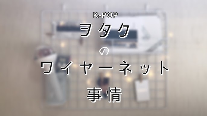 ぬいぐるみ ワイヤーネットTikTok