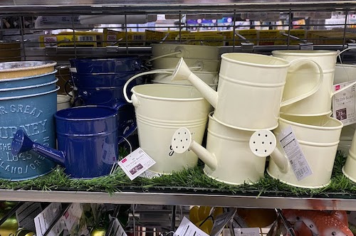 216円のジョウロは便利です♫♬ その他-品種不明