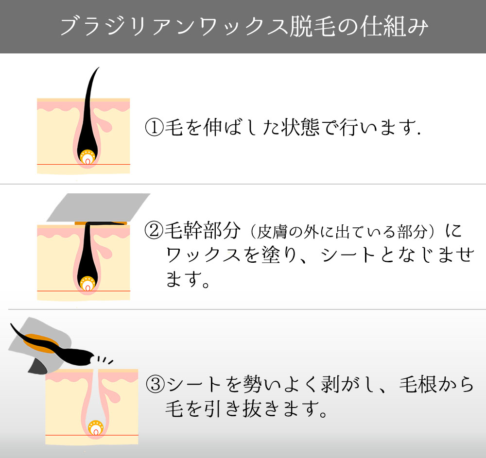 自宅で簡単むだ毛処理】天然はちみつと水あめでできた国産「脱毛ワックス」 | マキアオンライン(MAQUIA ONLINE)