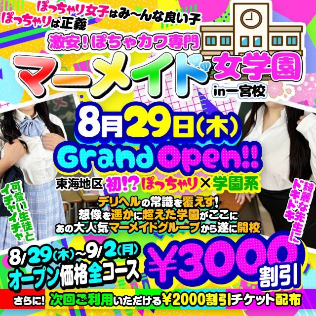 激安！ぽちゃカワ専門マーメイドin一宮-尾張一宮ぽっちゃりデリヘルみんなでつくるガチンコ体験レビュー - 