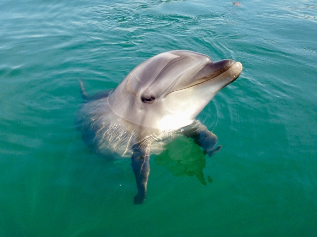 三河湾・西浦温泉方面