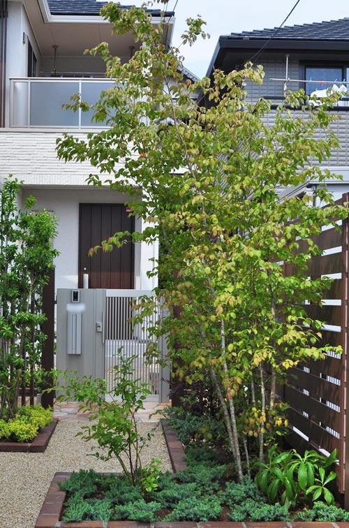 大きな植物を取り入れたい方必見！シンボルツリーの飾り方をご紹介します 家具・インテリア Re:CENO リセノ