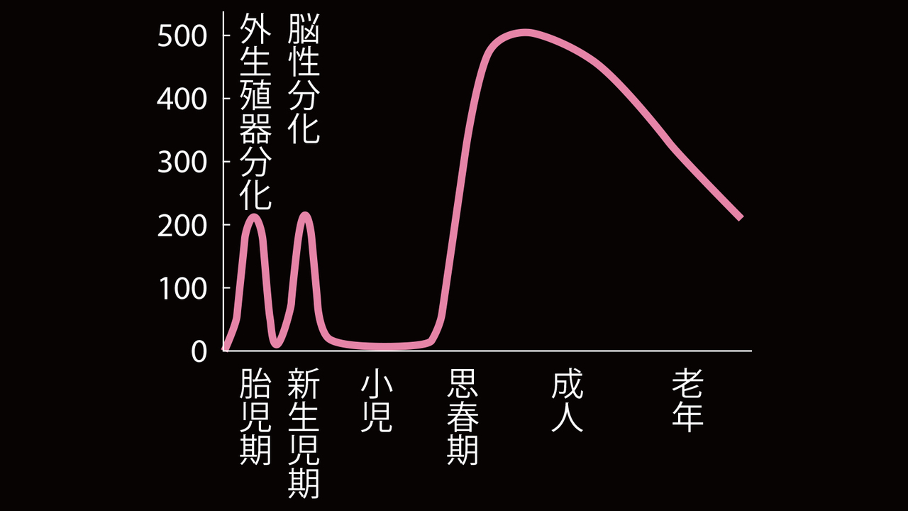 バドミントン漬けの生活で不思議な性欲をぷろたんに教えてもらった#筋トレ女子#ぷろたん#身長差#バドミントン