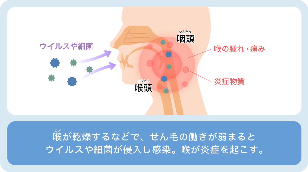 淋病の症状：フェラの後に喉が痛い（女性）、排尿痛（男性）