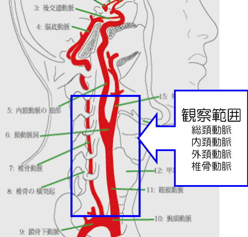 5 触診（触察）とそれに必要な基礎知識