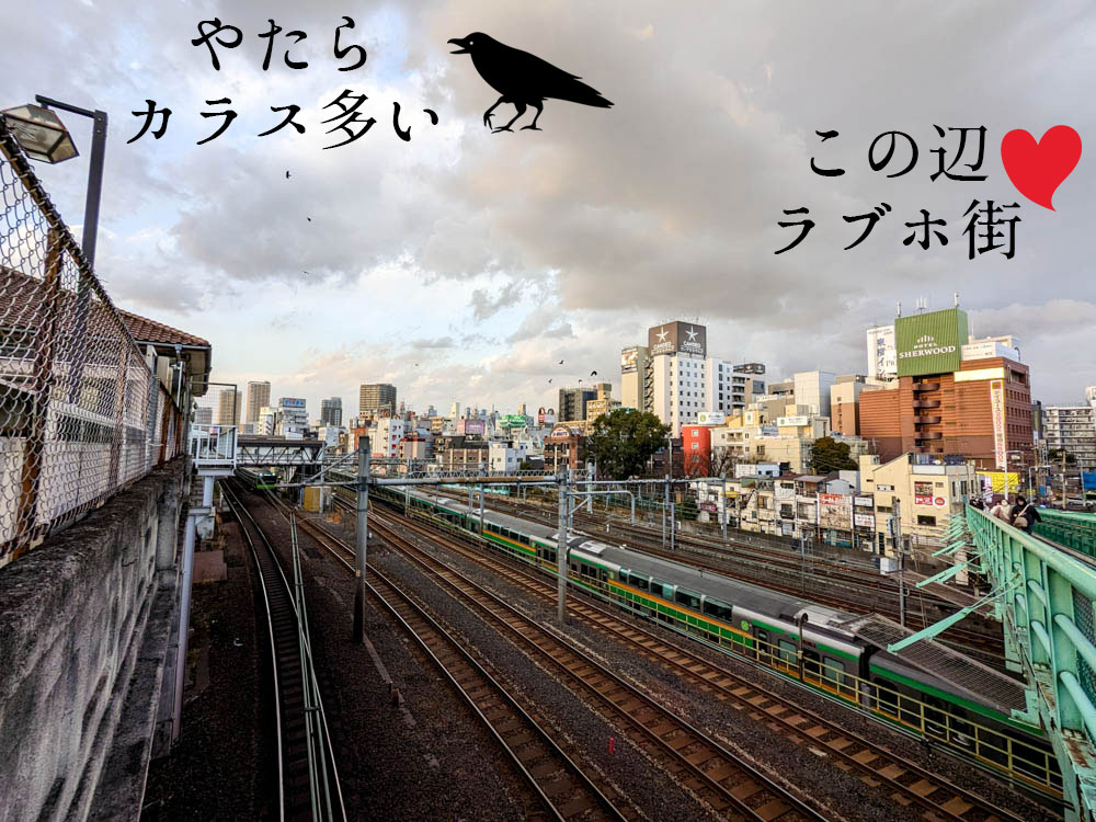 ラブホの壁一面に寿司、照明にも寿司、床にも寿司 奇抜な寿司コンセプトの部屋に「逆に行きたい」の声 - ねとらぼ