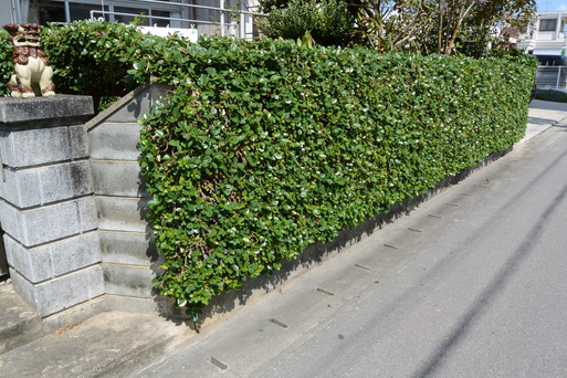 AmazonManhaoya 3D壁紙3D立体壁紙 石レンガ 壁紙シール 壁画 石垣 自然風景 おしゃれ DIY シールシート 壁用 壁材リフォーム インテリア 部屋 リビング 寝室 ルーム キッチン 家の装飾 PVC 防水 防音 耐熱 防カビ 防汚 環境保護 貼るだけ45×100cm壁紙