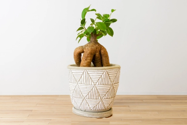 書斎・仕事部屋の風水インテリア 机の向きや方角 - 運びを良くする風水インテリア