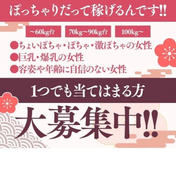 多治見・土岐・春日井ちゃんこ ｜多治見・美濃加茂 | 風俗求人『Qプリ』