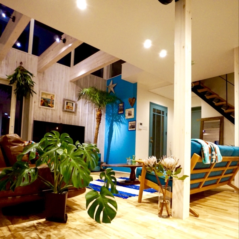 リビングに観葉植物をおしゃれに置くコツは？飾り方、おすすめの品種、お手入れ方法もご紹介！スマイルすまいカーディフ生命