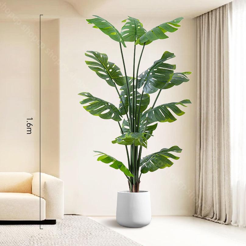 観葉植物×風水」で運気上昇運気を引き寄せる選び方や最適な場所観葉植物・お花の通販 AND PLANTSアンドプランツ