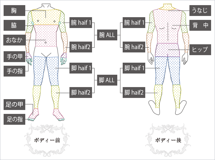 ブラジリアンワックス施術時の体勢＞JBWA本部認定講師