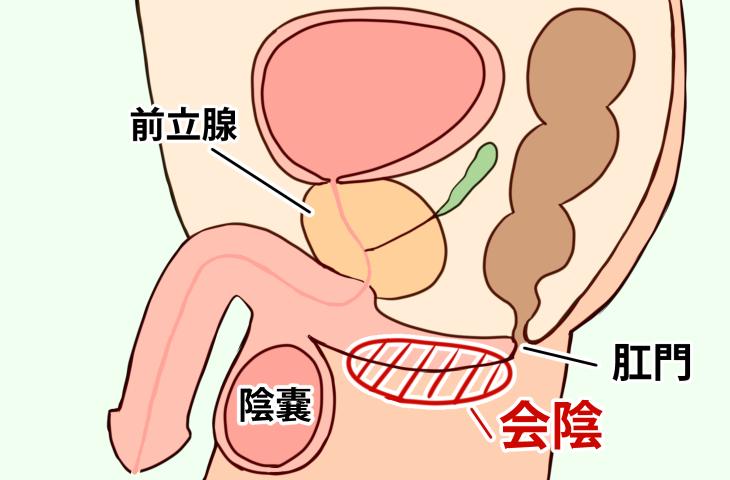 一度イケば虜になる！アナルで絶頂「前立腺オナニー」魅力と方法｜駅ちか！風俗雑記帳