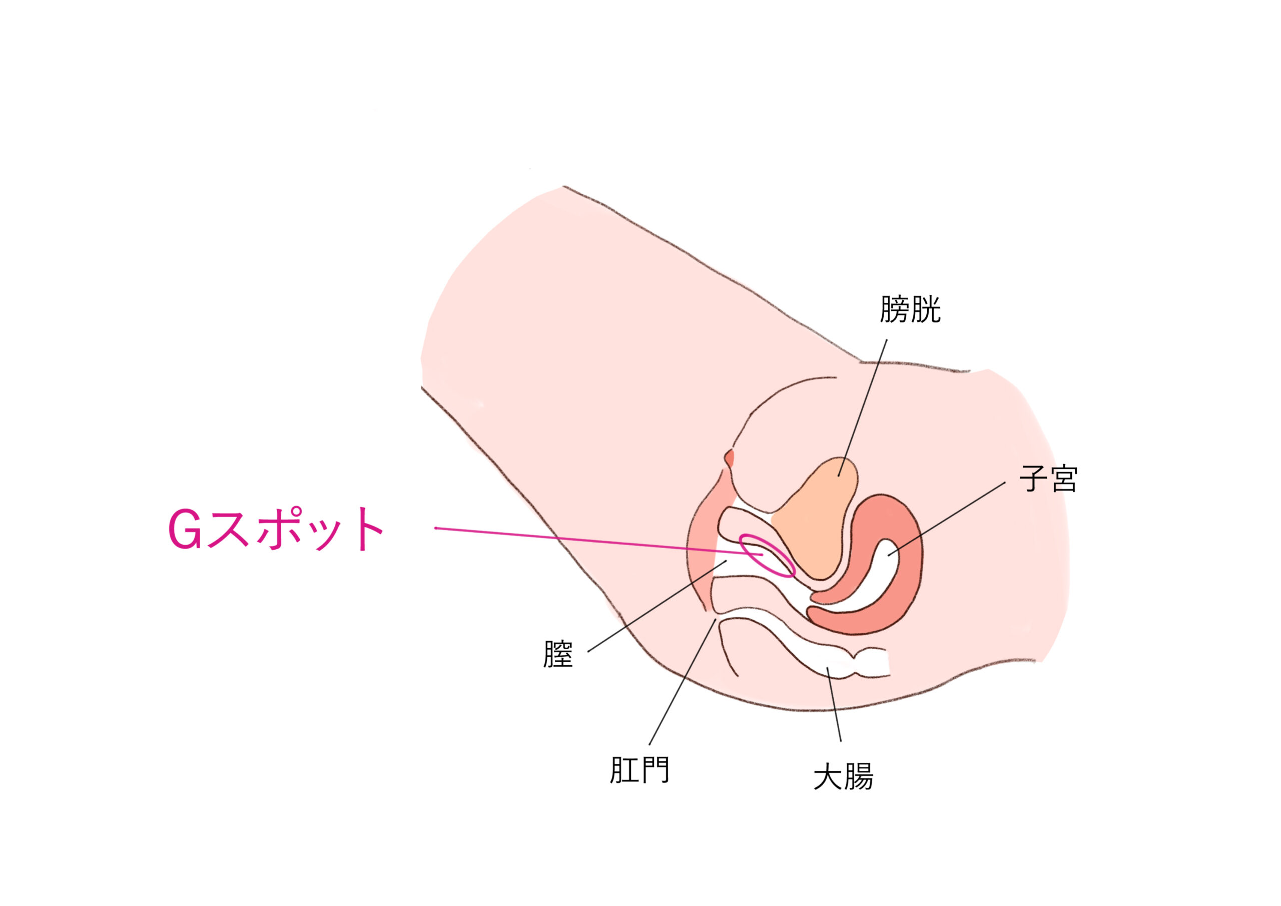 女がイキまくる手マンのやり方！具体的な方法と手マンが痛い原因・注意点