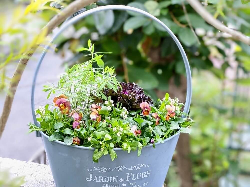 玄関前のシックな寄せ植え雑木の庭でガーデニング