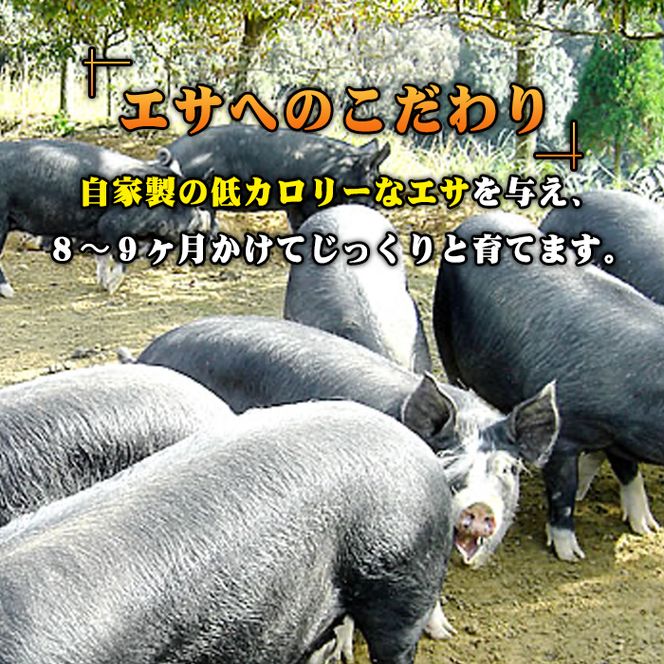 鹿児島県産】豚3種類 計1.5kgセット 豚肉 小分け