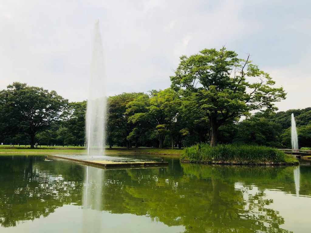 代々木公園駅周辺のおすすめ銭湯・スーパー銭湯 | エキテン