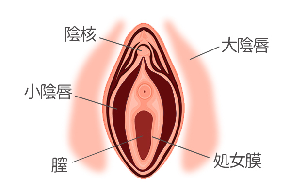 まだ指も入れたことがない処女を性感マッサージでじっくりイカせてみた豪華版 | XCITYでエロ動画を根こそぎ体験しよう！