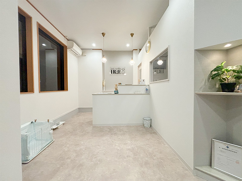 初めてのトリミングサロン開業！店舗設計のコツや費用についても解説テナント工房