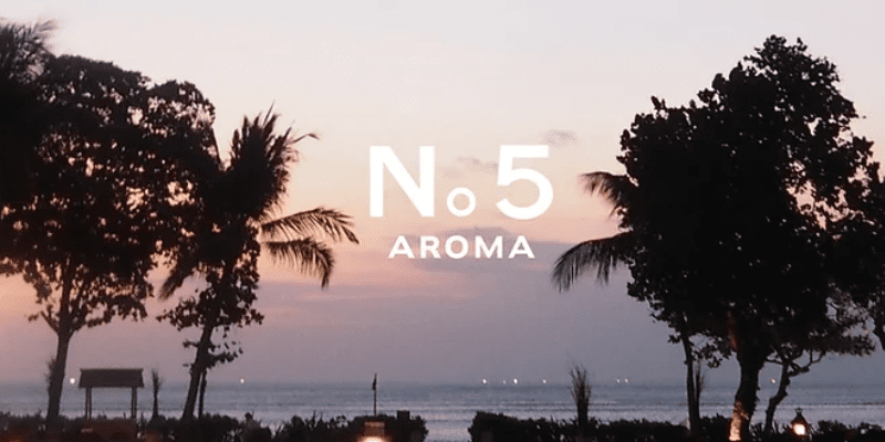 AROMA5（アロマ5）】で抜きあり調査【蒲田・登戸・本厚木・船橋】きいは本番可能なのか？【抜けるセラピスト一覧】 –  メンエス怪獣のメンズエステ中毒ブログ