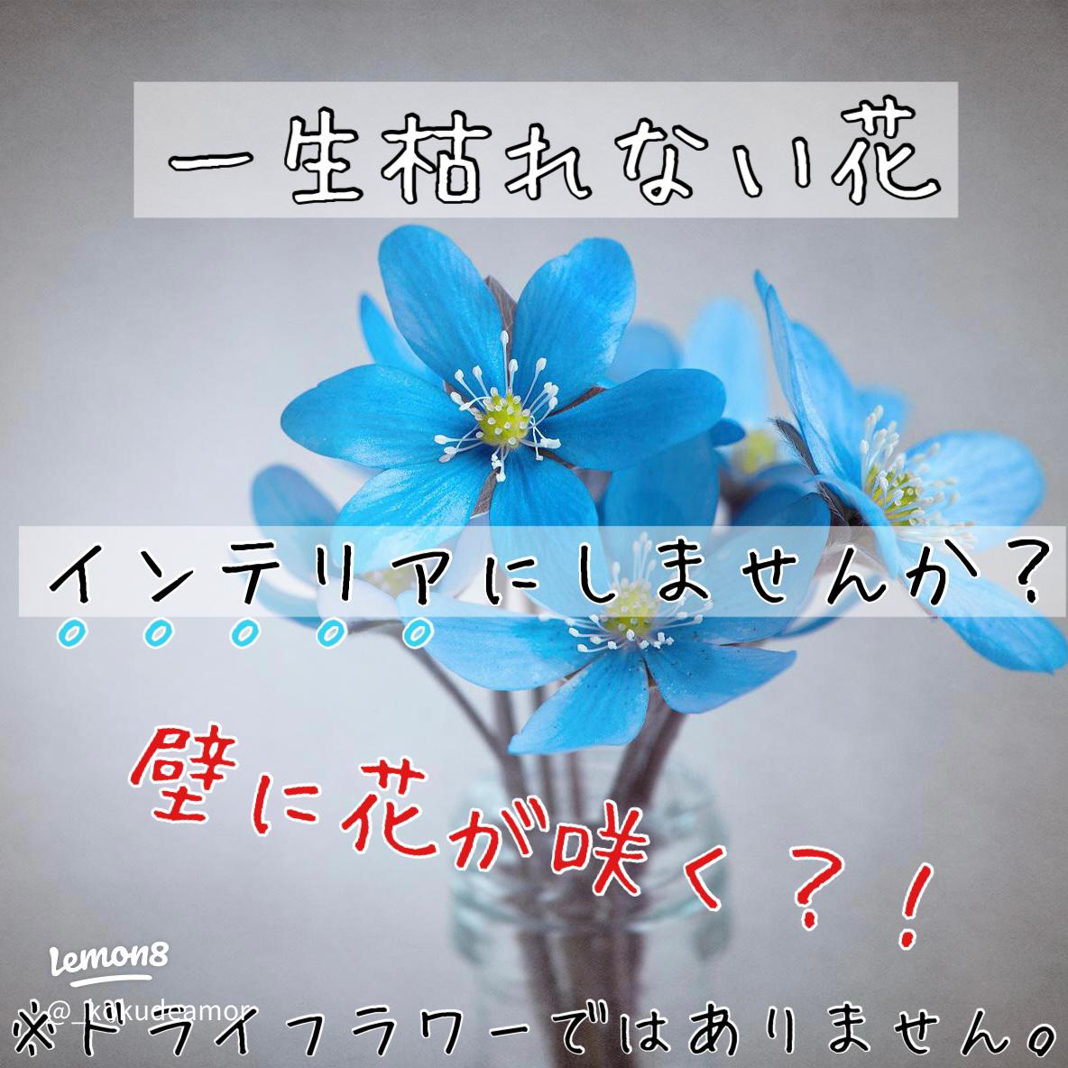 お花を使ったインテリア～春を彩る心地よい暮らし～サーティーフォーの新築分譲住宅専門サイト相模原市・町田市・八王子市・海老名市・湘南エリアの物件多数掲載