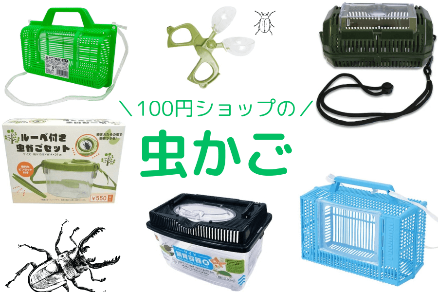 100均昆虫商品 クリアスライダー⁉今、話題沸騰中の虫かごをダイソーで買ってきたのでレビューします!!Ryu´sTree＃121DAISO
