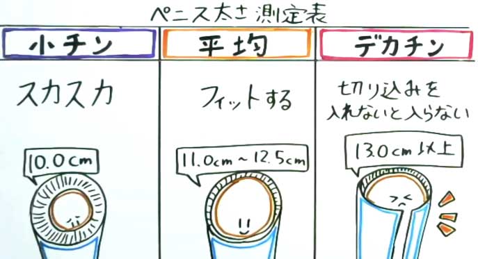 女性が求めるペニスとは？女性の理想と本音を解説｜グー薬局