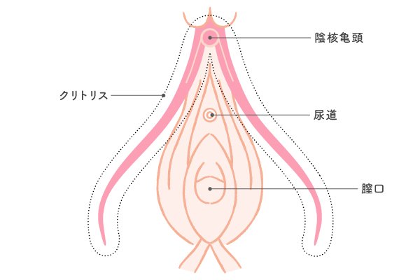 性の雑学】イク時の快感倍増！？女性の最高に気持ちいいオナニー方法を伝授！| エロ雑学 |タイ・バンコクの風俗情報「ほぼ日刊ほいなめ新聞」