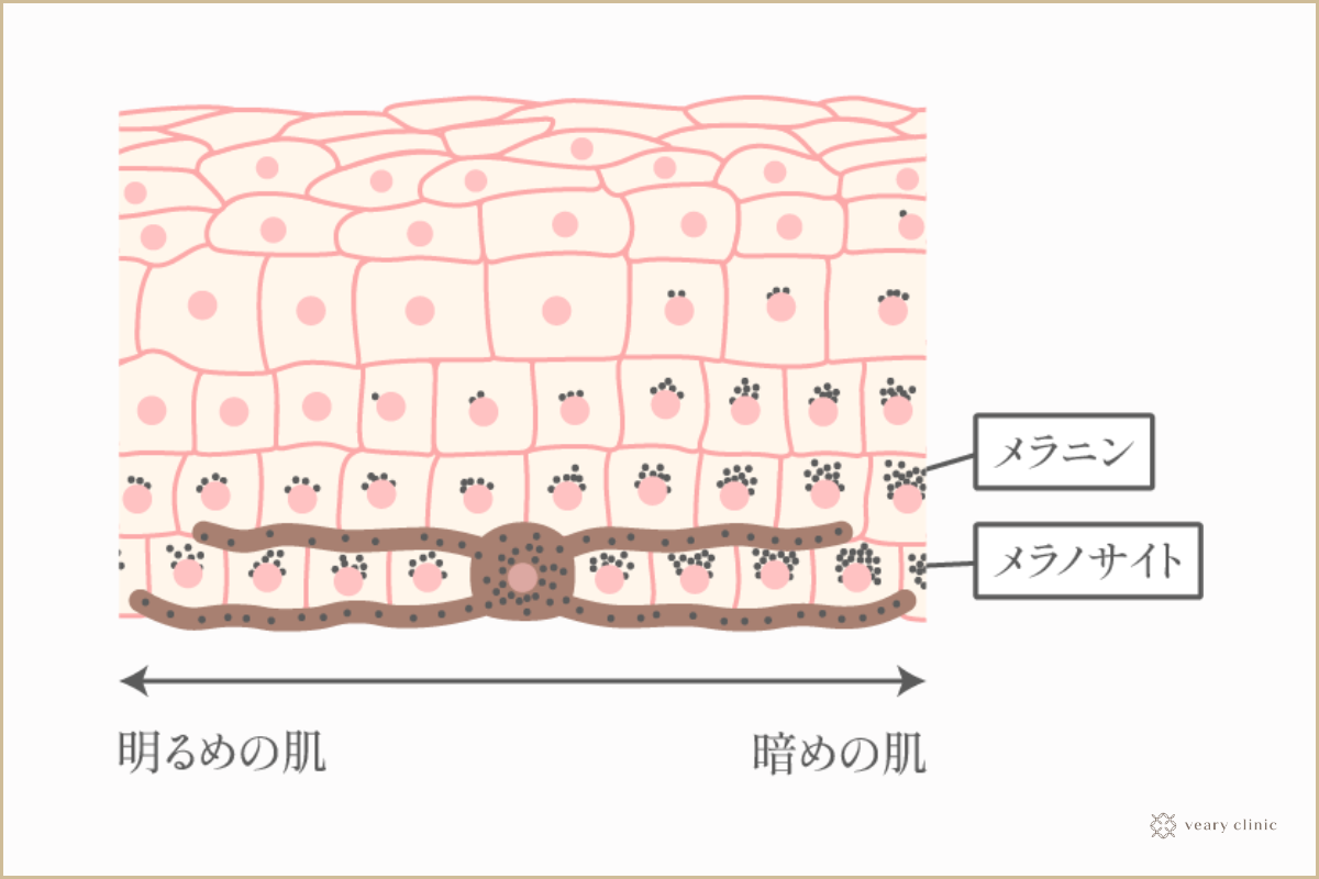 うまれて〜〜〜はずめて〜〜〜ちくびに〜〜〜トーンを〜〜〜貼った✌️(コマ割りのクセ) 」🍑準備麺🍑の漫画