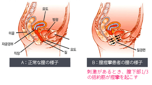 アダルトDVD 通信販売 ADM(アダルトメディア):麻薬捜査官 ヤク漬け膣痙攣 水谷あおいの商品詳細