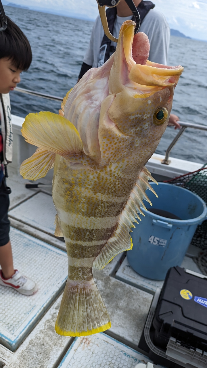 🎣みやもん🎣 さんの 2023年10月14日のアオナの釣り・釣果情報(長崎県 -