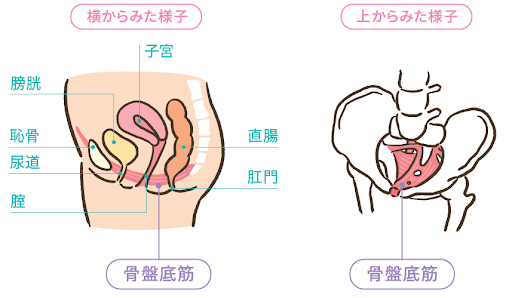 メディブル: ココチモ（cococimo）の通販ショップ