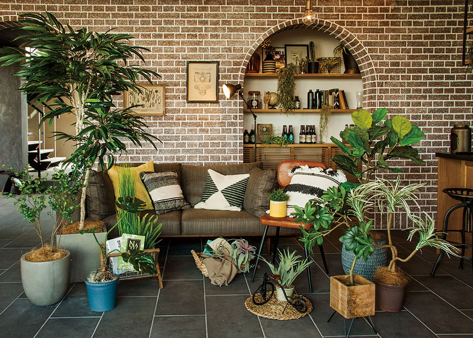 リビングに置くといい観葉植物おすすめ15選！風水的な選び方は