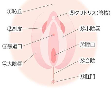 副皮切除術 - 【麹町皮ふ科・形成外科クリニック】（市ヶ谷/半蔵門/永田町/千代田区）