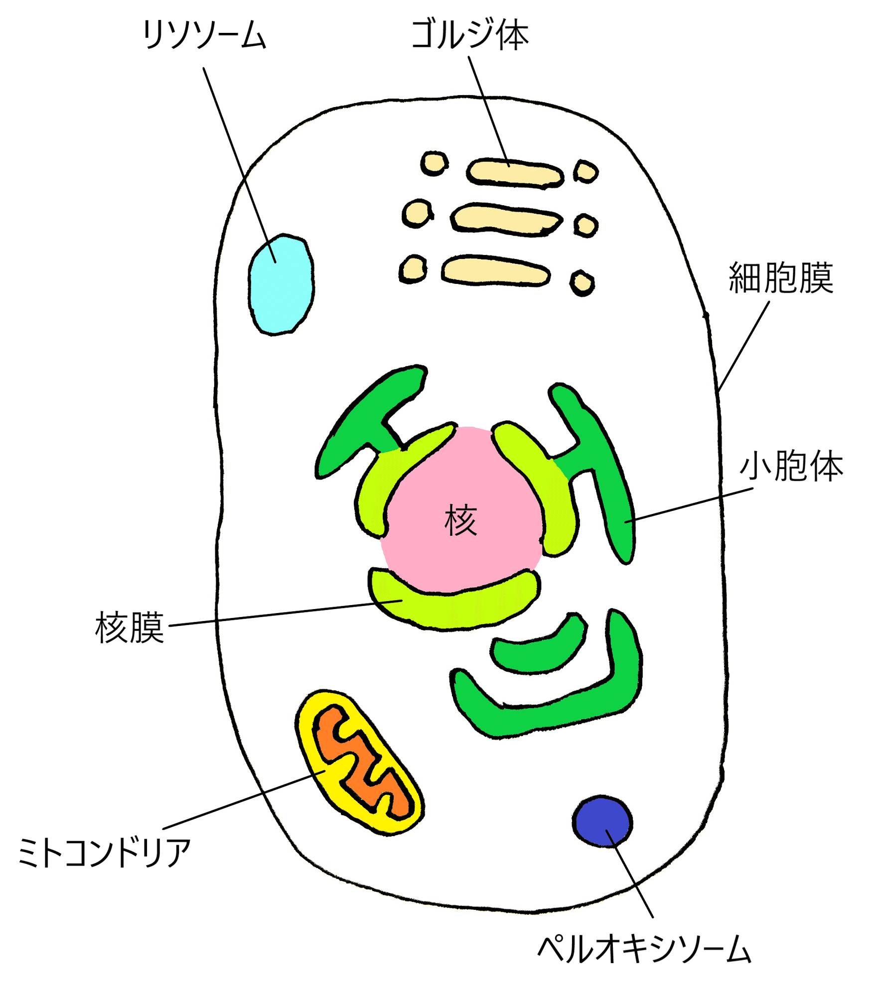 すべりん棒 約３０ｇ ＤＭＳＡ－９１４: インテリア・家具・収納用品|ホームセンターコーナンの通販サイト