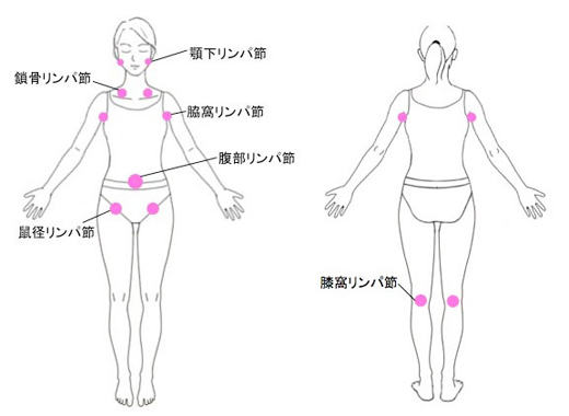 お風呂でリンパマッサージ」を監修しました。｜メディア紹介｜銀座ナチュラルタイム-銀座駅から徒歩1分の極上リンパマッサージ