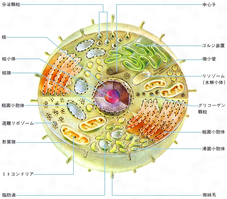 SUS303 ピーリング丸棒(WEB掲載品) | ミスミ