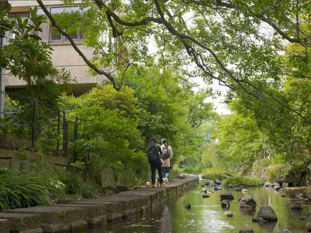 三島広小路駅周辺 大人も楽しめる涼しい 子供の遊び場・お出かけスポット | いこーよ