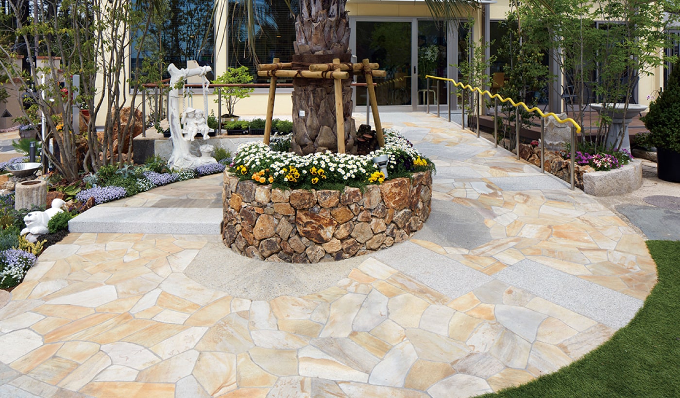 8月19日 玄関脇の花壇日々草・タト 「Seasons2019」のアルバム-みんなの趣味の園芸959828