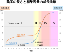 ペニスのサイズはどれくらい？TENGA社内で測ってみた - TENGAヘルスケア プロダクトサイト