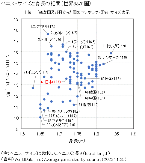 23~25歳（若手社会人）男性503人のチンコのサイズ | 中学生・高校生のチンコとセックスの調査