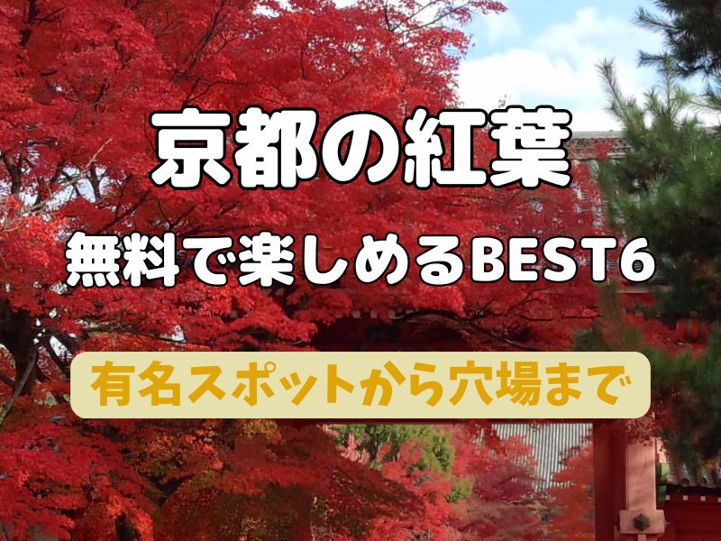 京都の紅葉“穴場”スポット伏見編・紅葉と日本酒を愉しむ「口福眼福」の旅 | とっておきの京都プロジェクト