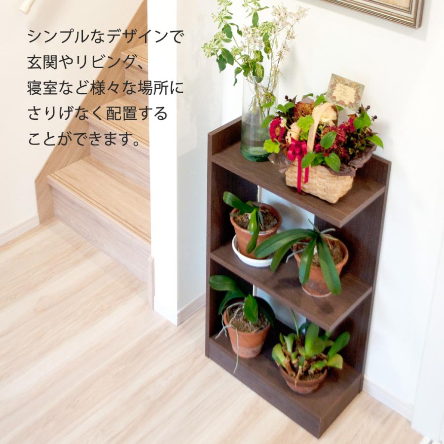 背の低い高級ディスプレイラック ロータイプアイアン家具 北欧デザイン 収納棚キャビネット 2段 - UmiFaniオーダーメイド家具製作所